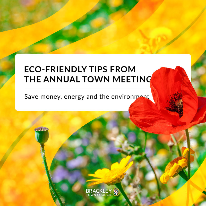 Title image of flowers with yellow graphics in the background reading 'Eco friendly tips from the annual town meeting, save money, energy and the envi
